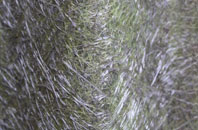 Kelvin fibreglass roof work